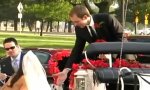 Lustiges Video : Hochzeitskutsche