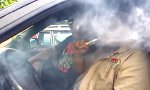 Lustiges Video : Zitter-Rauch