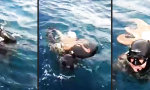 Lustiges Video : Oktopus will ihn nicht gehen lassen