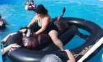 Lustiges Video : Rodeo im Pool
