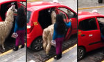 Funny Video : Taxi-Gäste in Peru