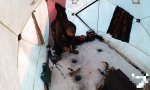 Lustiges Video : High-Tech Eisfischer