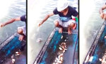 Piranhas fischen auf einfache Art und Weise