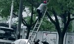 Funny Video : Wenn die Leiter zum Baumhaus zu kurz ist