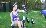 Lustiges Video : Wenn man gut zu Vögeln ist