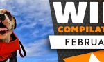 WIN Compilation Februar 2023
