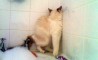 Fun Pic - Donnerstags Fun PicDump #10 - 10