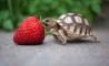 Fun Pic - Donnerstags Fun PicDump #10 - 62
