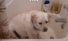 Fun Pic - Donnerstags Fun PicDump #27 - 32
