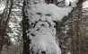 Fun Pic - Donnerstags Fun PicDump #36 - 19