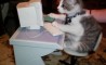 Fun Pic - Donnerstags Fun PicDump #47 - 51