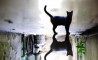 Fun Pic - Donnerstags Fun PicDump #47 - 70