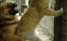 Fun Pic - Donnerstags Fun PicDump #59 - 3