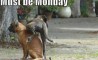 Fun Pic - Donnerstags Fun PicDump #59 - 51