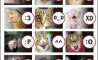 Fun Pic - Donnerstags Fun PicDump #60 - 12
