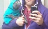 Fun Pic - Donnerstags Fun PicDump #60 - 20