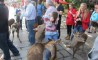 Fun Pic - Donnerstags Fun PicDump #65 - 18