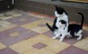 Fun Pic - Donnerstags Fun PicDump #81 - 21