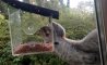 Fun Pic - Donnerstags Fun PicDump #93 - 118