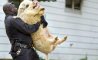 Fun Pic - Donnerstags Fun PicDump #93 - 62