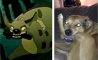 Fun Pic - Donnerstags Fun PicDump #101 - 73