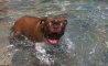 Fun Pic - Donnerstags Fun PicDump #101 - 85