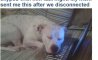 Fun Pic - Donnerstags Fun PicDump #106 - 124