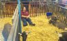 Fun Pic - Donnerstags Fun PicDump #113 - 11
