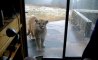 Fun Pic - Donnerstags Fun PicDump #116 - 86