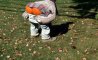 Fun Pic - Donnerstags Fun PicDump #119 - 71