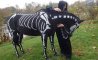 Fun Pic - Donnerstags Fun PicDump #122 - 63