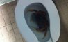 Fun Pic - Donnerstags Fun PicDump #122 - 7