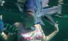 Fun Pic - Donnerstags Fun PicDump #123 - 107