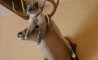 Fun Pic - Donnerstags Fun PicDump #123 - 23