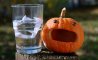 Fun Pic - Donnerstags Fun PicDump #123 - 35