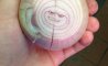 Fun Pic - Donnerstags Fun PicDump #123 - 36