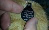 Fun Pic - Donnerstags Fun PicDump #123 - 59