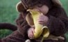 Fun Pic - Donnerstags Fun PicDump #125 - 118