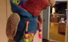 Fun Pic - Donnerstags Fun PicDump #128 - 101