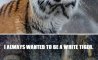 Fun Pic - Donnerstags Fun PicDump #129 - 84