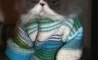 Fun Pic - Donnerstags Fun PicDump #130 - 71