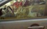 Fun Pic - Donnerstags Fun PicDump #131 - 61