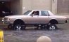 Fun Pic - Donnerstags Fun PicDump #133 - 12
