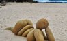 Fun Pic - Donnerstags Fun PicDump #133 - 96