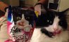 Fun Pic - Donnerstags Fun PicDump #135 - 93