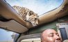 Fun Pic - Donnerstags Fun PicDump #141 - 106
