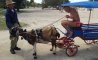 Fun Pic - Donnerstags Fun PicDump #141 - 66