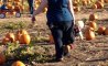 Fun Pic - Donnerstags Fun PicDump #142 - 114