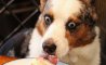 Fun Pic - Donnerstags Fun PicDump #142 - 34