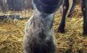 Fun Pic - Donnerstags Fun PicDump #142 - 52